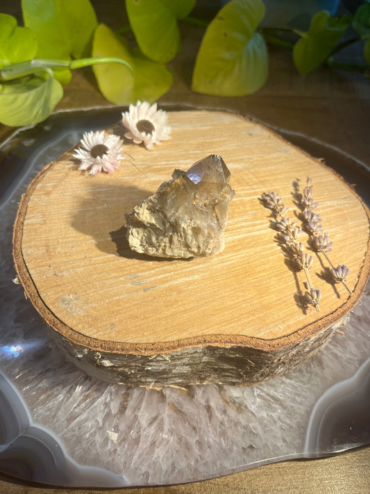 Natuurlijke citrien ruwe punt 3