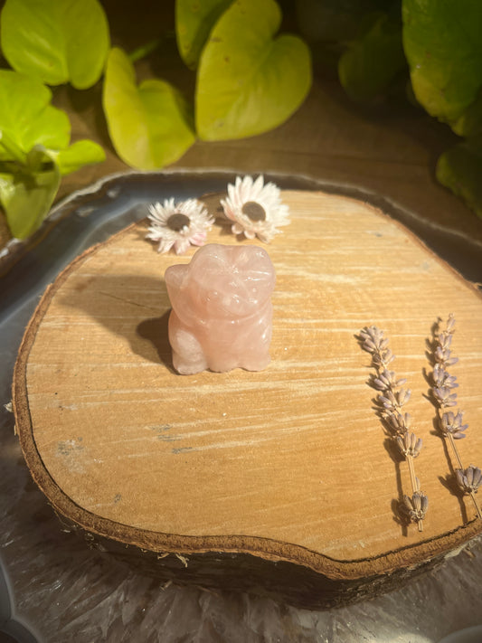 Rozenkwarts gelukskat