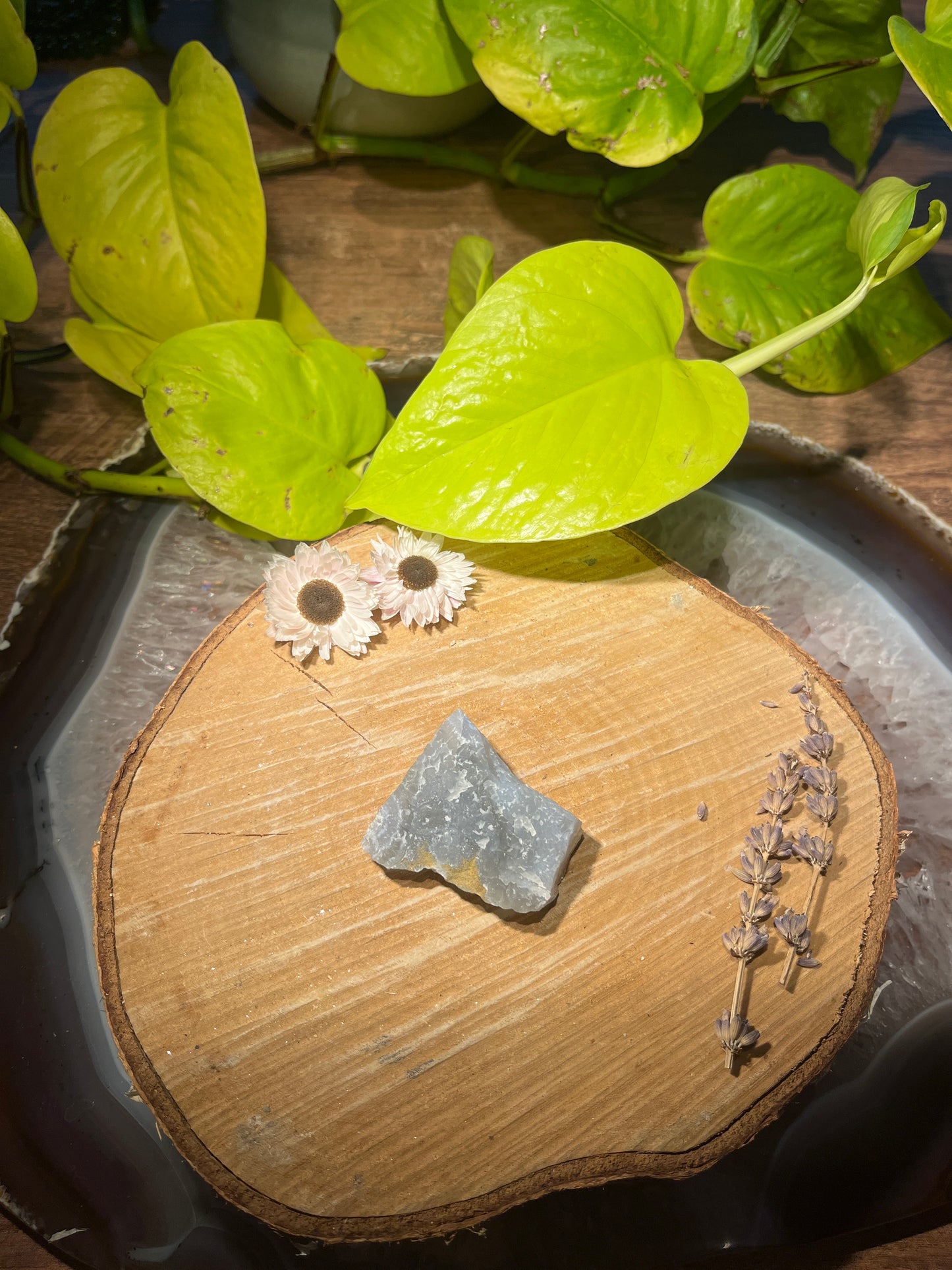 Blue lace agaat (chalcedoon) ruw brokje