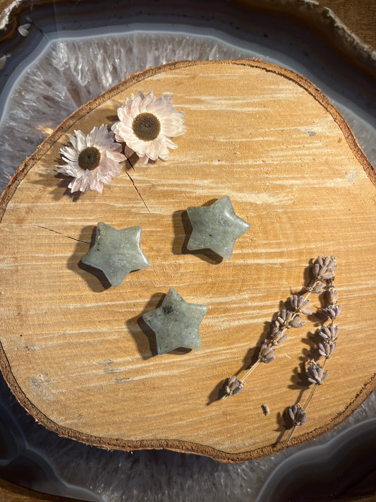 Labradoriet sterretje