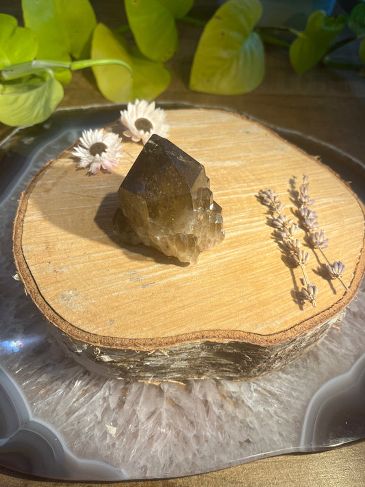 Natuurlijke citrien ruwe punt 1