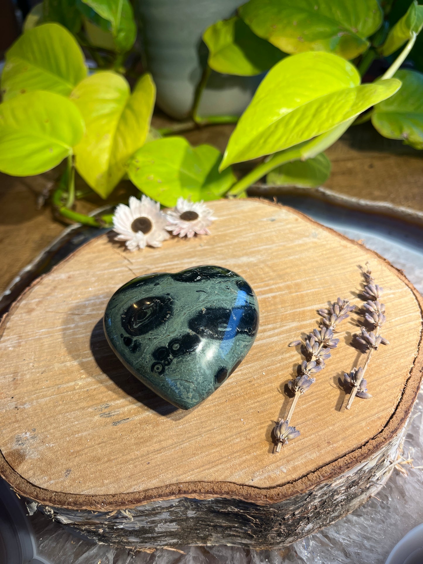 Kambaba jaspis hart 2