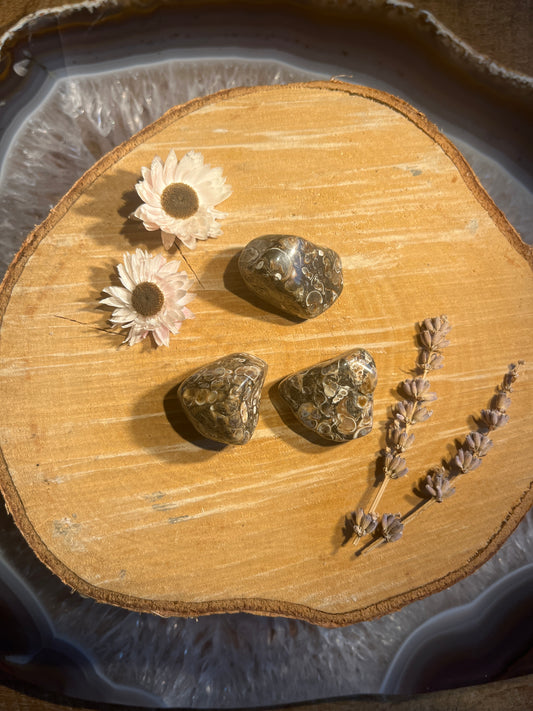 Turitella agaat trommelsteen